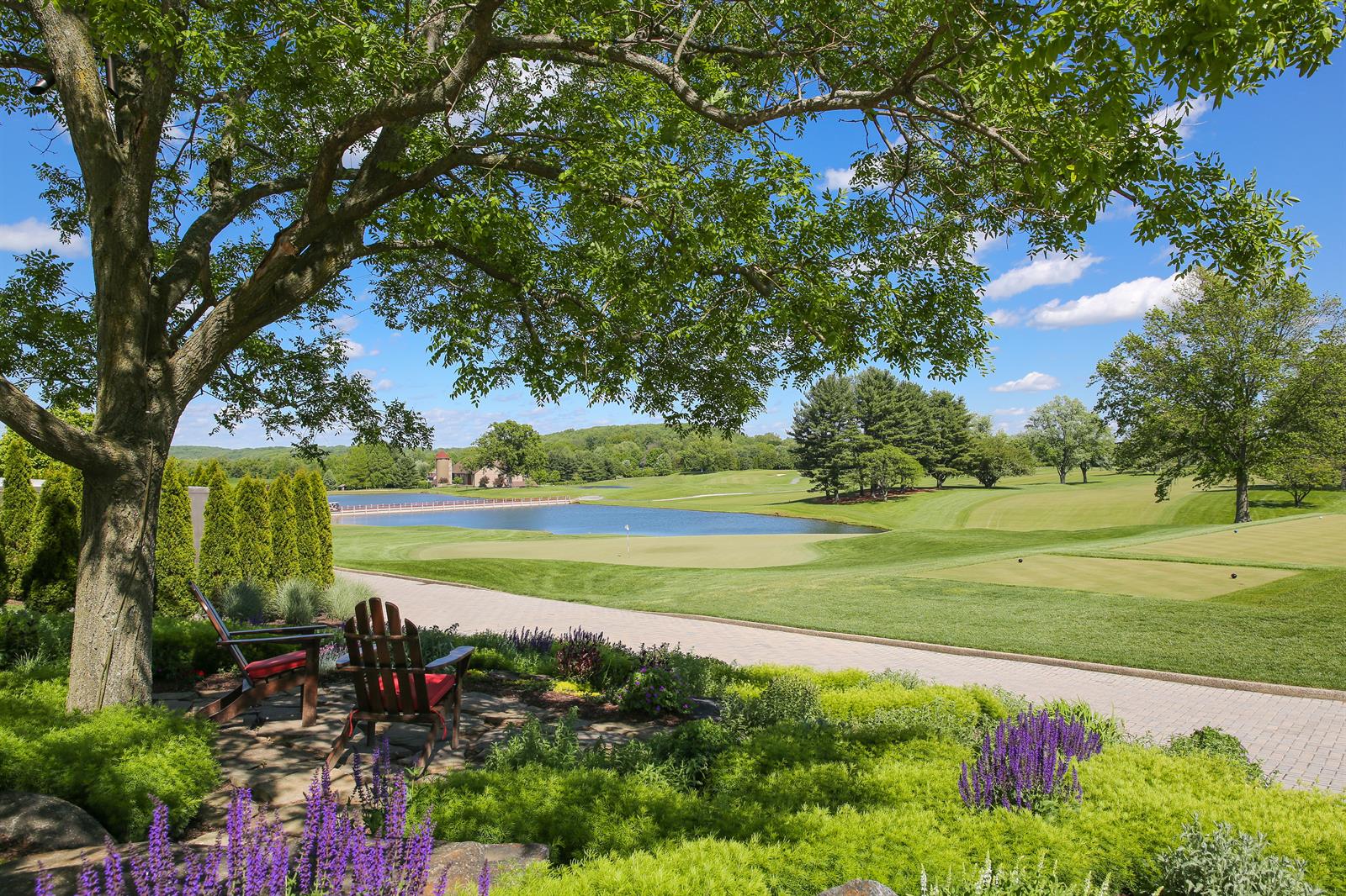 assistant_racquets_professional